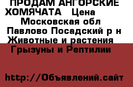  ПРОДАМ АНГОРСКИЕ ХОМЯЧАТА › Цена ­ 100 - Московская обл., Павлово-Посадский р-н Животные и растения » Грызуны и Рептилии   